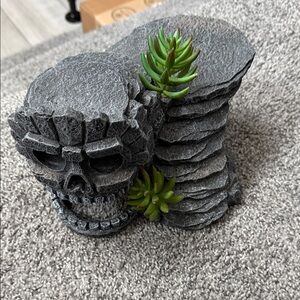 Gray Skull Planter with Green Succulents
